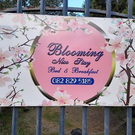 Blooming Nice Stay Гаррісміт Екстер'єр фото